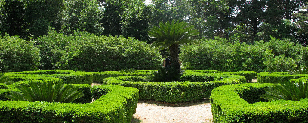 View of the botanical garden