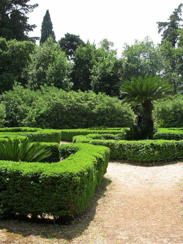 View of the botanical garden