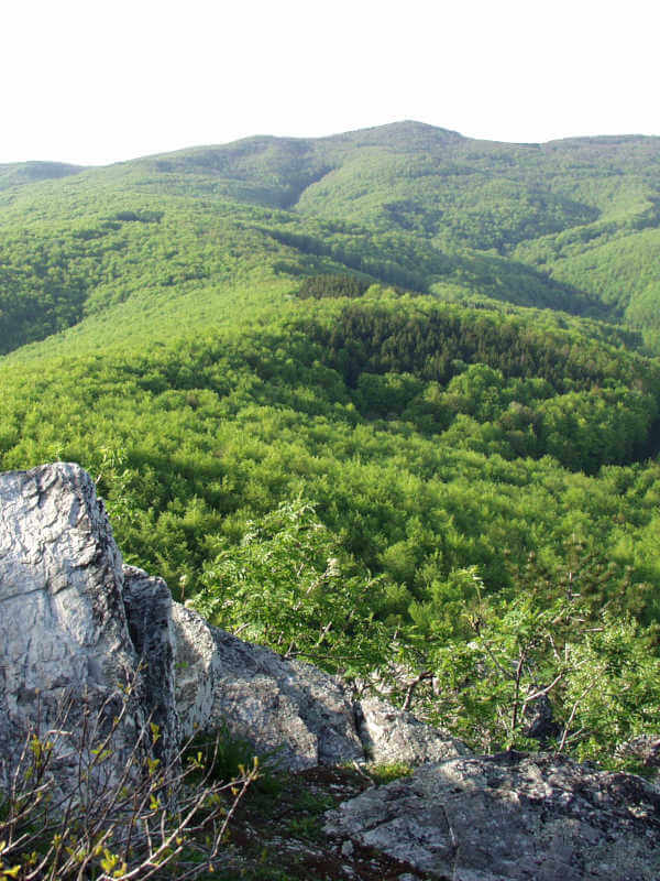 Papuk in Croatia