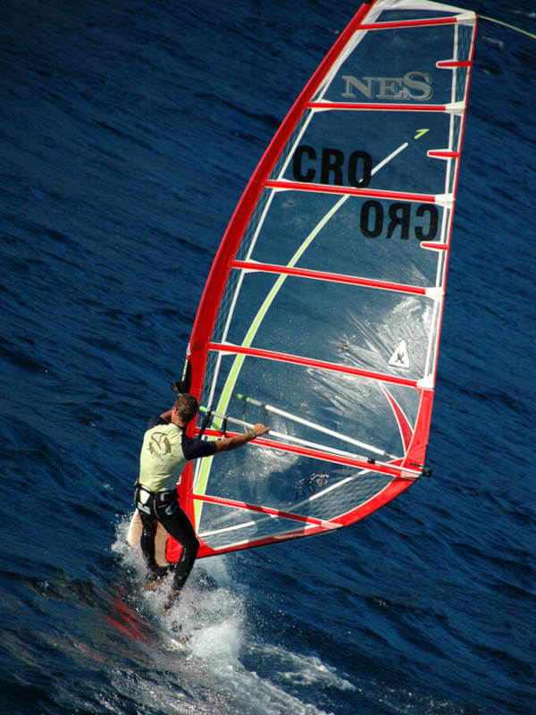 Windsurfer
