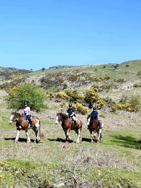 Croatia, a land of horses