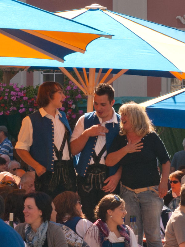 Wine festival in croatia