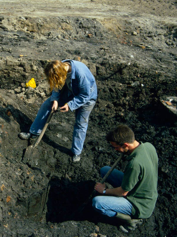 Excavation site