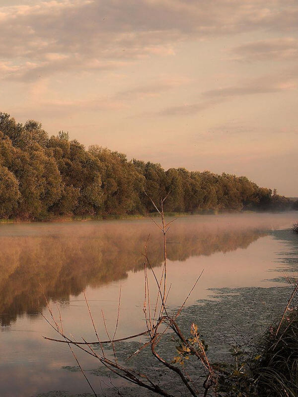 Lonjsko Polje, river