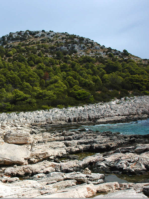 Rocks along the shore